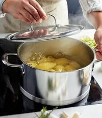 Demeyere Atlantis 7 Stainless Steel Dutch Oven With Lid