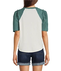 Democracy Mix-Media Scoop Neck Embroidered Elbow Puff Sleeve Top