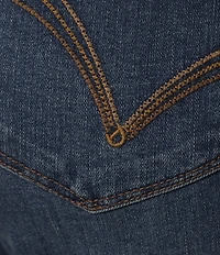 Democracy Petite Size #double;Ab#double;solution® High-Rise Embroidered Straight Slim Leg Fray Hem Jeans