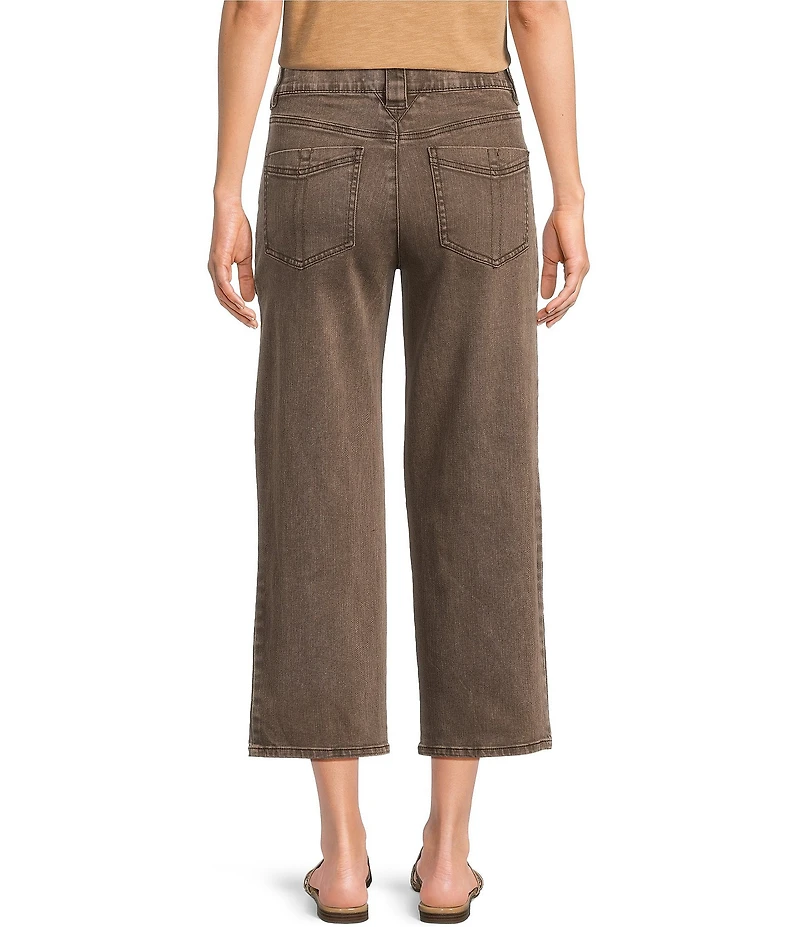 Democracy Petite Size #double;Ab#double;solution® Skyrise Relaxed Straight Leg Cropped Denim Pants