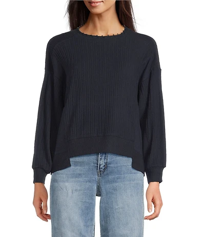 Democracy Petite Size Mixed Media Knit Embroidered Scoop Neck Long Sleeve Top