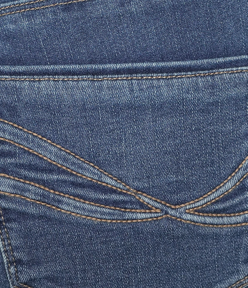 Democracy Plus Size 3-D Embroidered 5-Pocket Style Skimmer Stretch Denim Jeans
