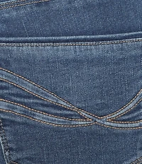 Democracy Plus Size 3-D Embroidered 5-Pocket Style Skimmer Stretch Denim Jeans