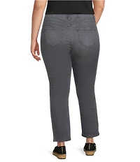 Democracy Plus Size #double;Ab#double;solution® High Rise Faux Front Lip Seam Ankle Pants