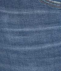 Democracy Plus Size Denim Step Hem Seam Cropped Jeans