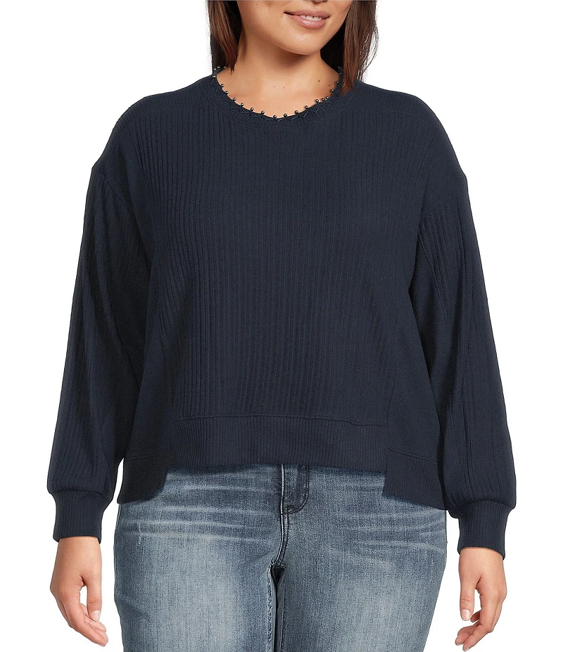 Democracy Plus Size Mixed Media Knit Embroidered Faux Pearl Scoop Neck Long Sleeve Top