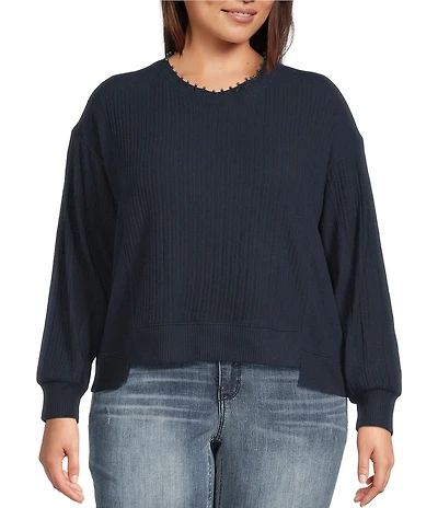 Democracy Plus Size Mixed Media Knit Embroidered Faux Pearl Scoop Neck Long Sleeve Top