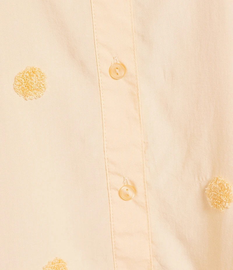 Democracy Plus Size Textured Dot Ruffle Point Collar Short Sleeve Woven Top