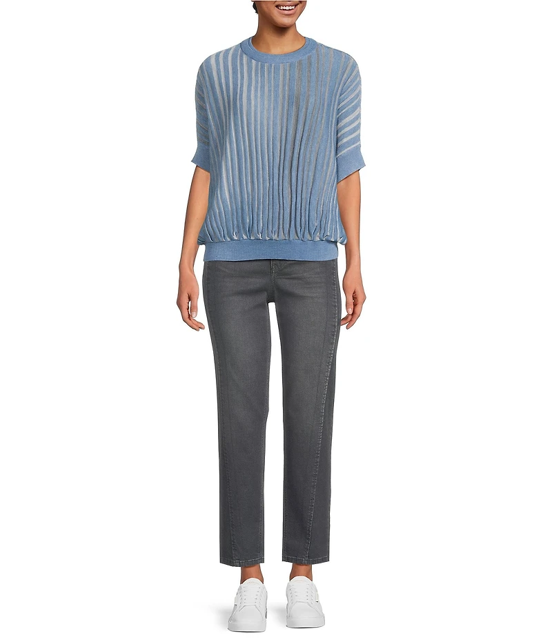 Democracy Two Tone Space-Dyed Horizon Stripe Crew Neck Short Dolman Sleeve Sweater