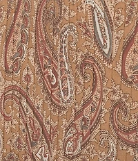 Dex Plus Paisley Print Sleeveless Pleated Top