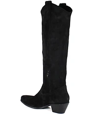Diba True Ame Thyst Suede Tall Western Boots