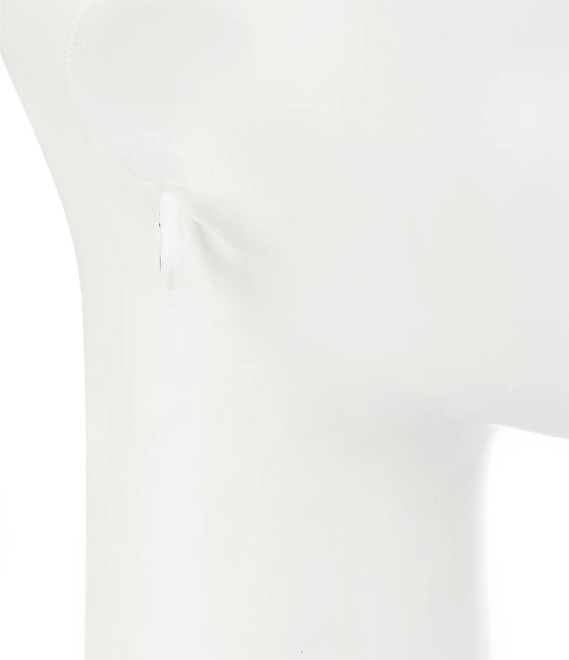 Dillard's Enamel Medium Metal Hoop Earrings