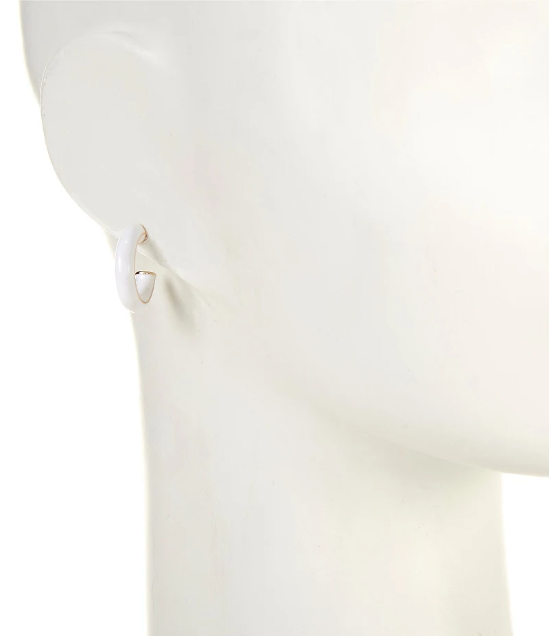 Dillard's Enamel Small Hoop Earrings