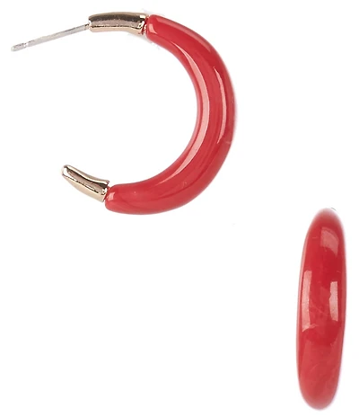 Dillard's Resin Hoop Earrings