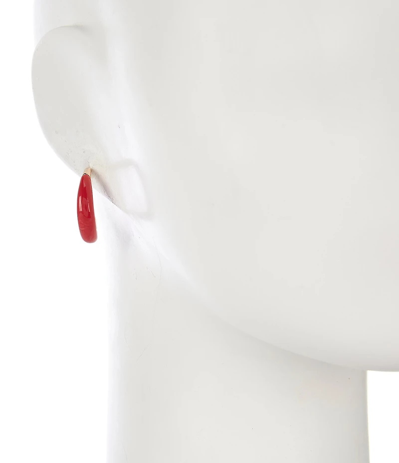 Dillard's Resin Hoop Earrings