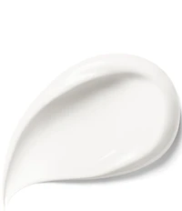 Dior Capture Day Creme Refill