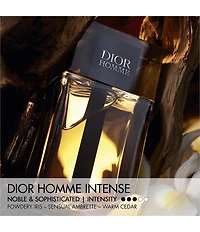 Dior Dior Homme Intense Eau de Parfum