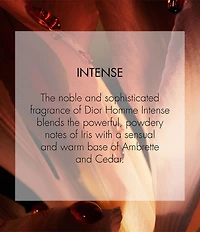 Dior Dior Homme Intense Eau de Parfum