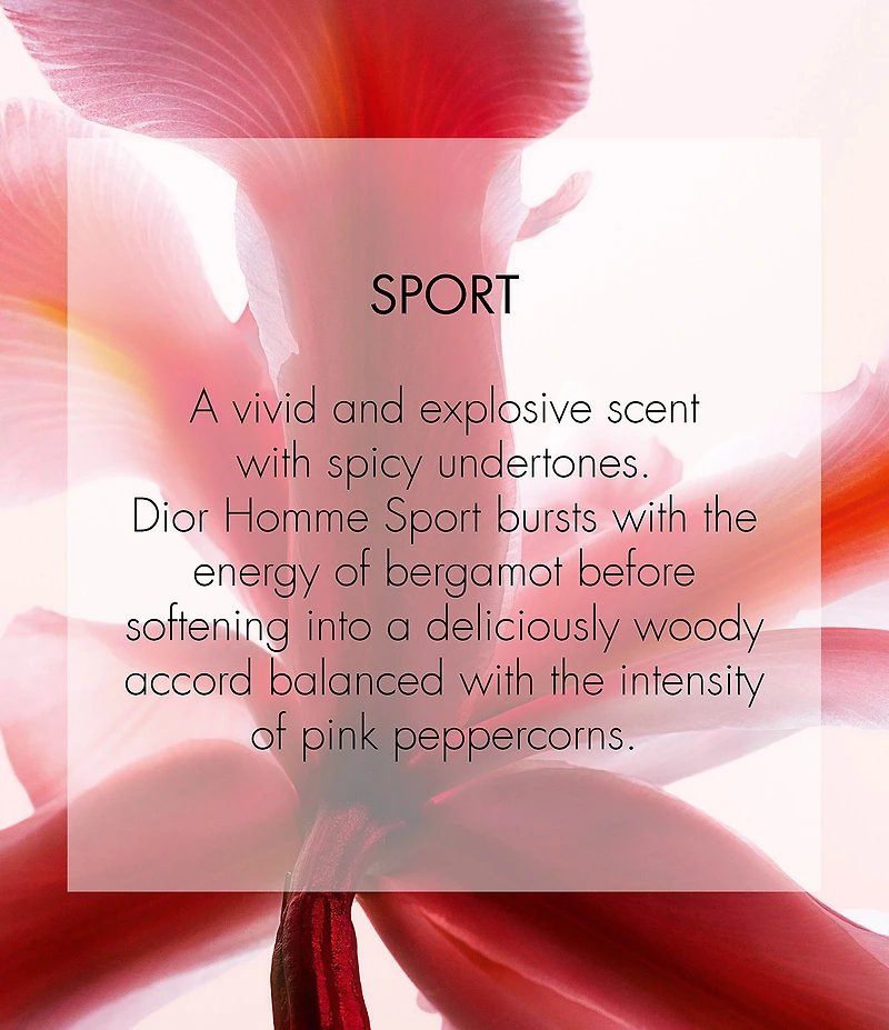 Dior Dior Homme Sport Eau de Toilette