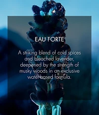 Dior Sauvage Eau Forte Parfum