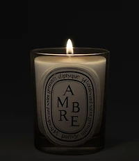 DIPTYQUE Ambre (Amber) Classic Candle