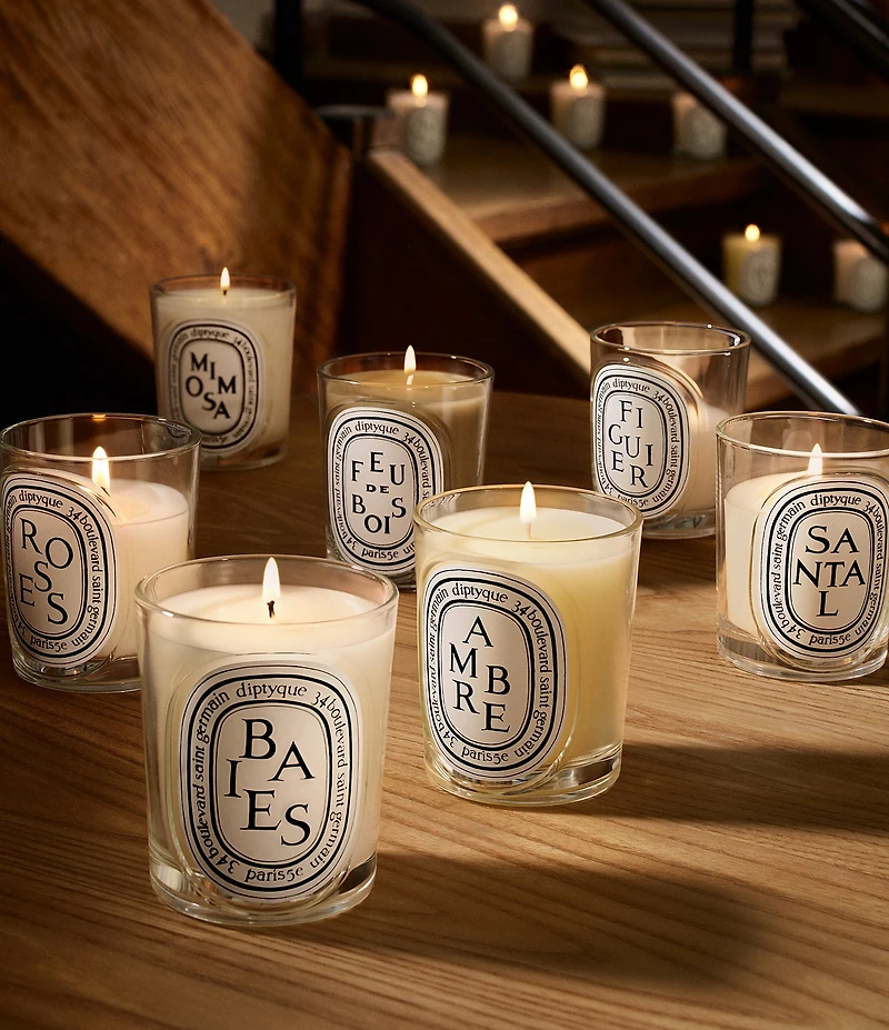 DIPTYQUE Ambre (Amber) Classic Candle