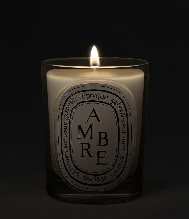 DIPTYQUE Ambre (Amber) Classic Candle, 6.7 oz.
