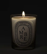 DIPTYQUE Ambre (Amber) Classic Candle, 6.7 oz.