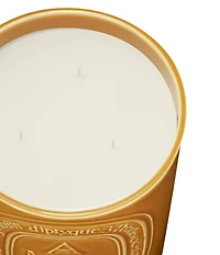 DIPTYQUE Ambre (Amber) Candle