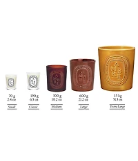 DIPTYQUE Ambre (Amber) Classic Candle