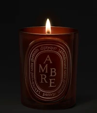 DIPTYQUE Ambre Medium Candle