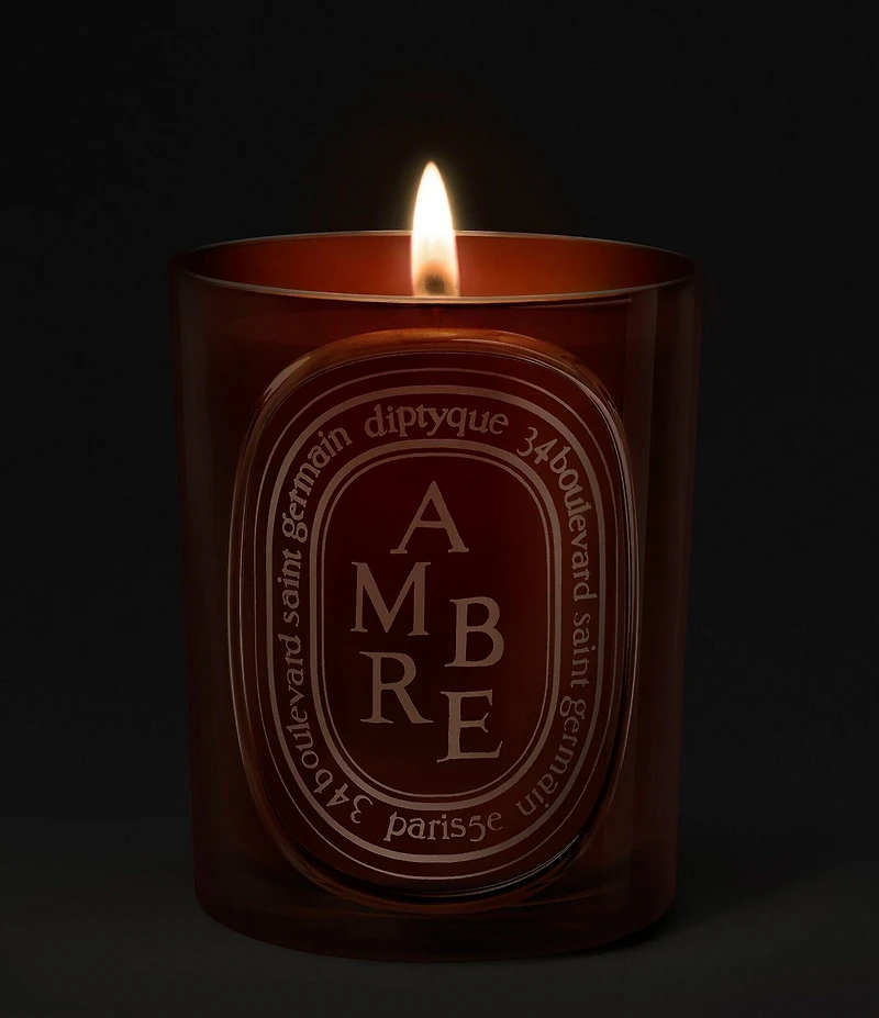 DIPTYQUE Ambre (Amber) Medium Candle, 10.6 oz.