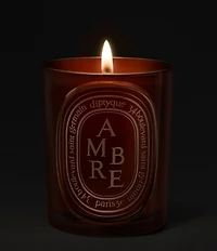 DIPTYQUE Ambre (Amber) Medium Candle, 10.6 oz.
