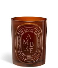 DIPTYQUE Ambre Medium Candle