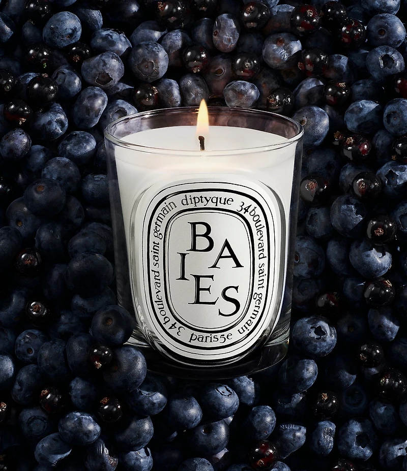 DIPTYQUE Baies (Berries) Classic Candle