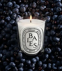 DIPTYQUE Baies (Berries) Classic Candle