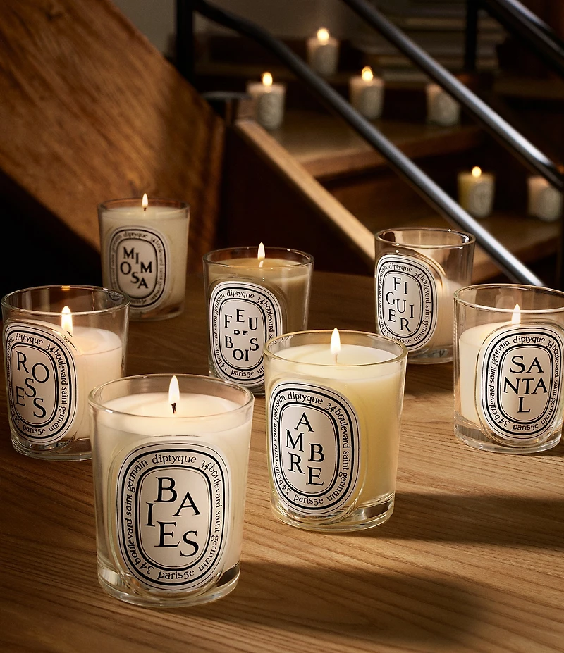 DIPTYQUE Baies (Berries) Classic Candle