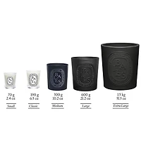 DIPTYQUE Baies (Berries) Classic Candle
