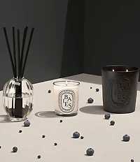 DIPTYQUE Baies (Berries) Classic Candle
