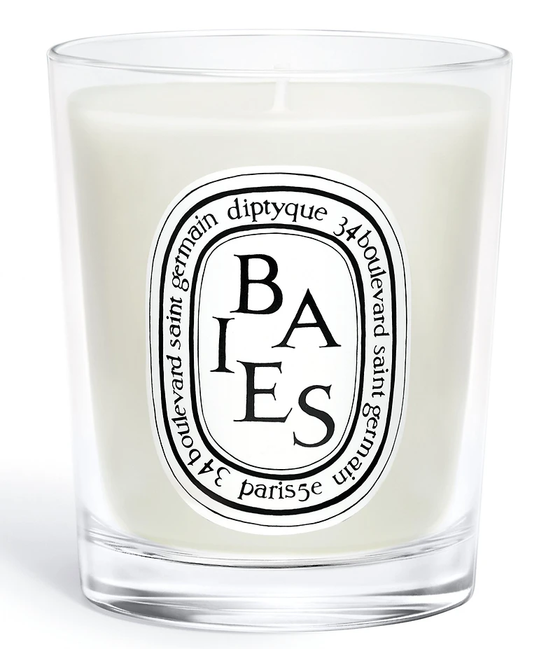 DIPTYQUE Baies (Berries) Classic Candle