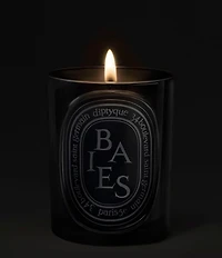 DIPTYQUE Baies (Berries) Medium Candle