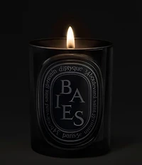 DIPTYQUE Baies (Berries) Medium Candle, 10.6 oz.