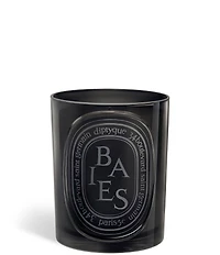 DIPTYQUE Baies (Berries) Medium Candle, 10.6 oz.