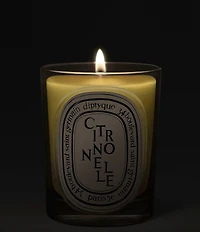 DIPTYQUE Citronnelle (Lemongrass) Classic Candle