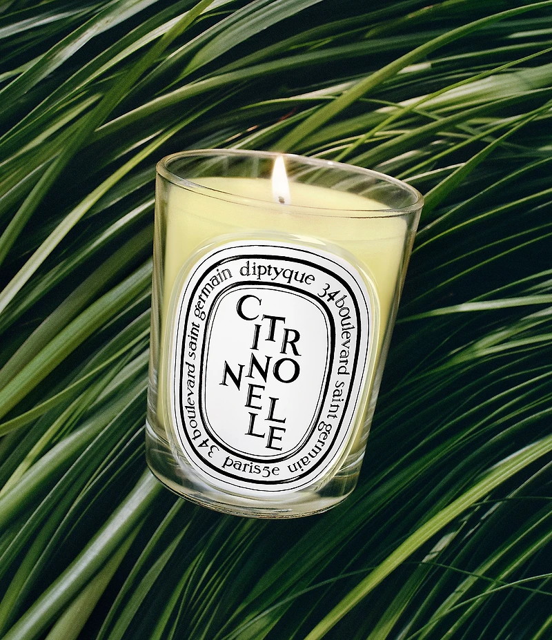 DIPTYQUE Citronnelle (Lemongrass) Classic Candle, 6.7 oz.