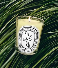 DIPTYQUE Citronnelle (Lemongrass) Classic Candle, 6.7 oz.