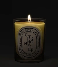 DIPTYQUE Citronnelle (Lemongrass) Classic Candle, 6.7 oz.