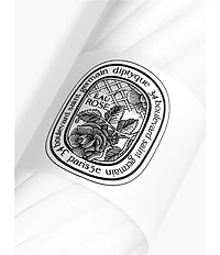 DIPTYQUE Eau Rose Hand & Body Lotion