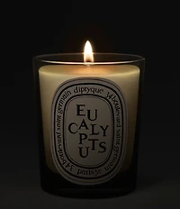 DIPTYQUE Eucalyptus Classic Candle