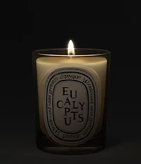 DIPTYQUE Eucalyptus Classic Candle